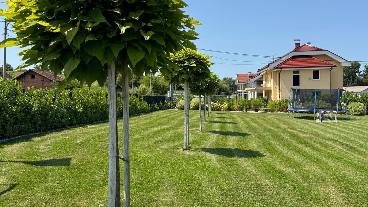Uređenje zelenih površina